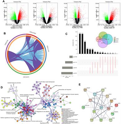 A Series of Genes for Predicting Responses to Anti-Tumor Necrosis Factor α Therapy in Crohn’s Disease